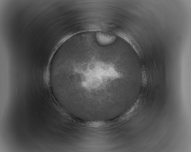 X0000094081074200711161602