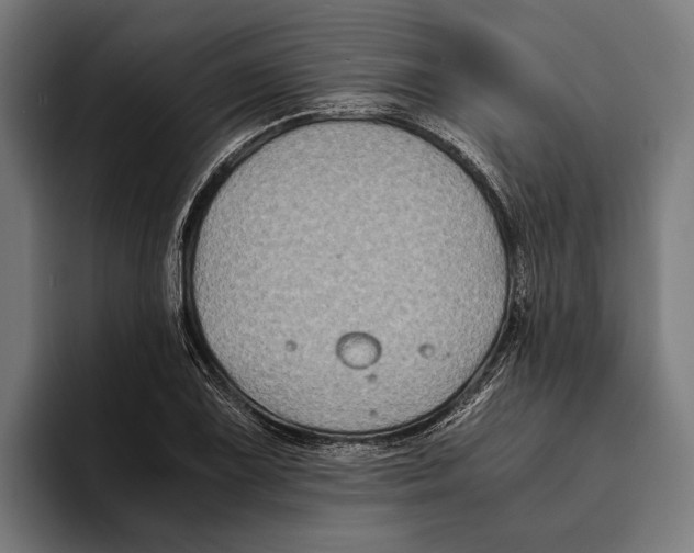 X0000094081075200711161602