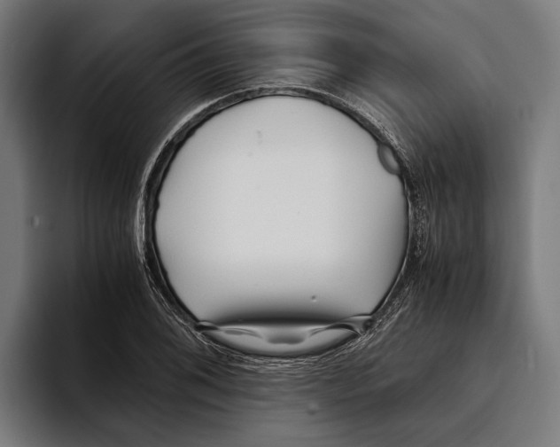 X0000094081076200711161602