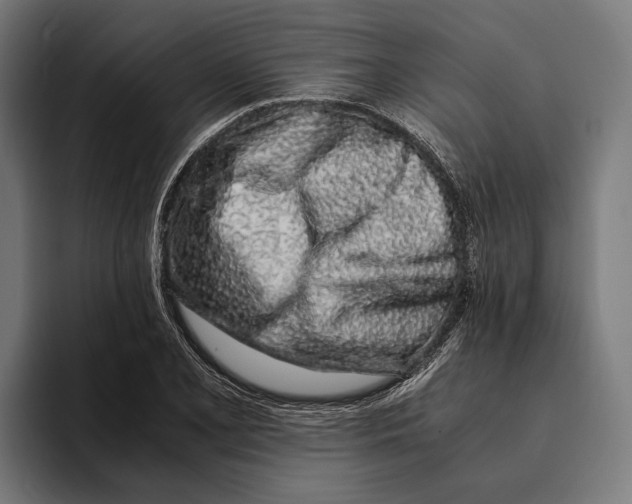 X0000094081077200711161602