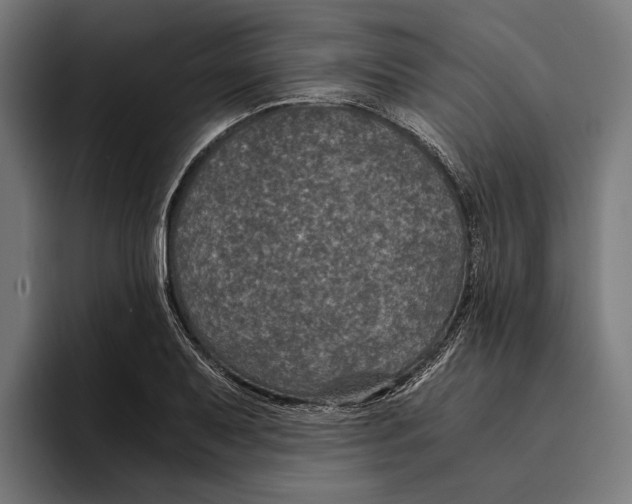 X0000094081079200711161602
