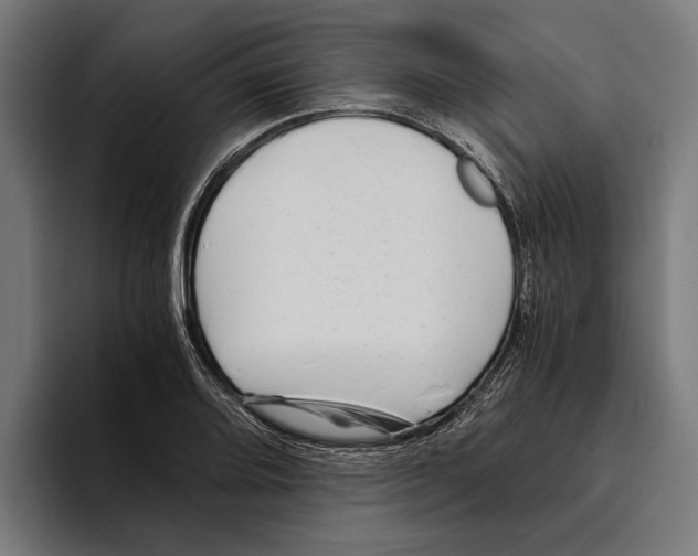 X0000094081080200711161602