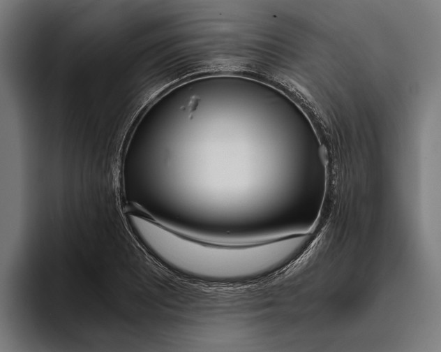 X0000094081081200711161602