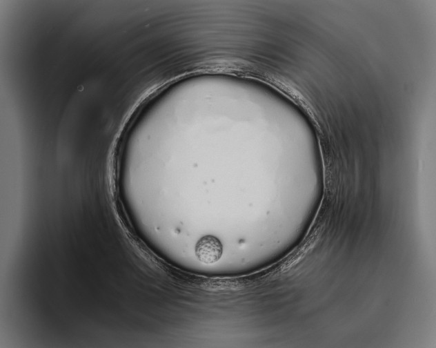 X0000094081083200711161602
