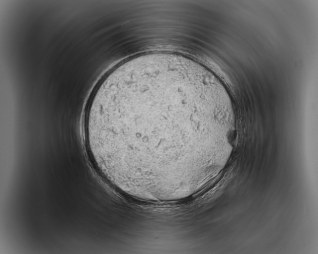 X0000094081084200711161602