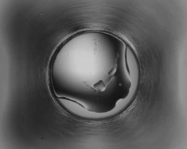 X0000094081085200711161602