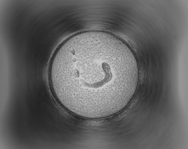 X0000094081086200711161602