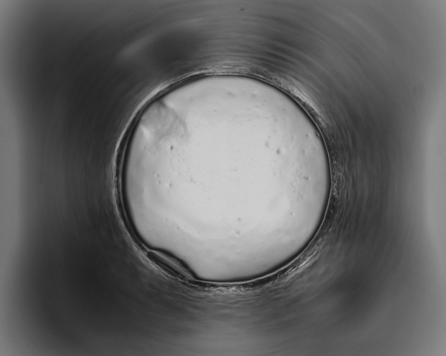 X0000094081087200711161602