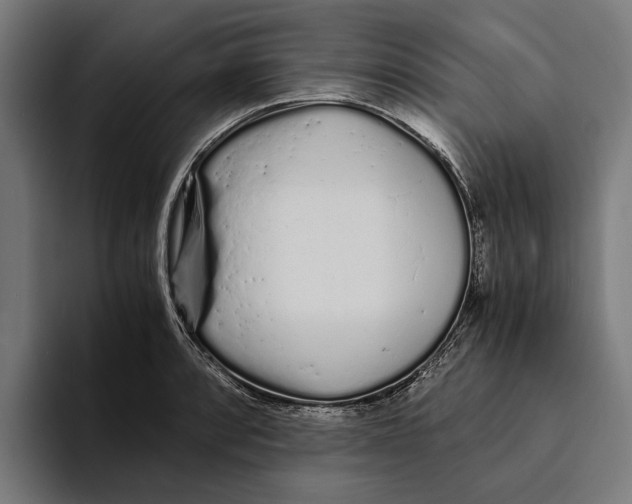 X0000094081088200711161602
