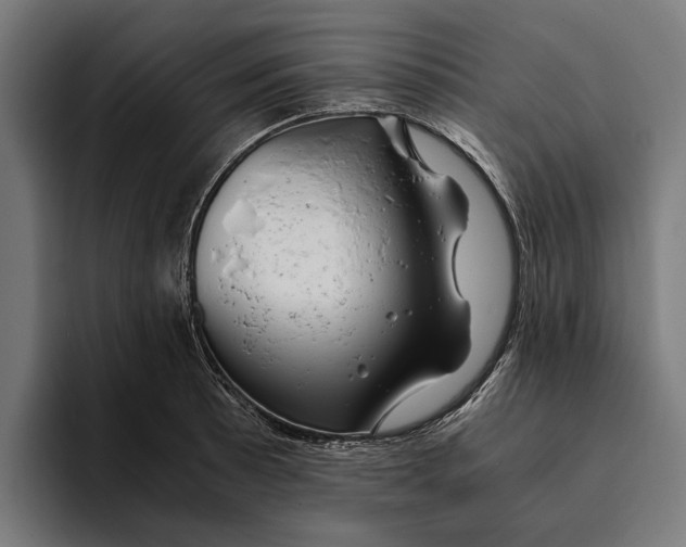 X0000094081089200711161602