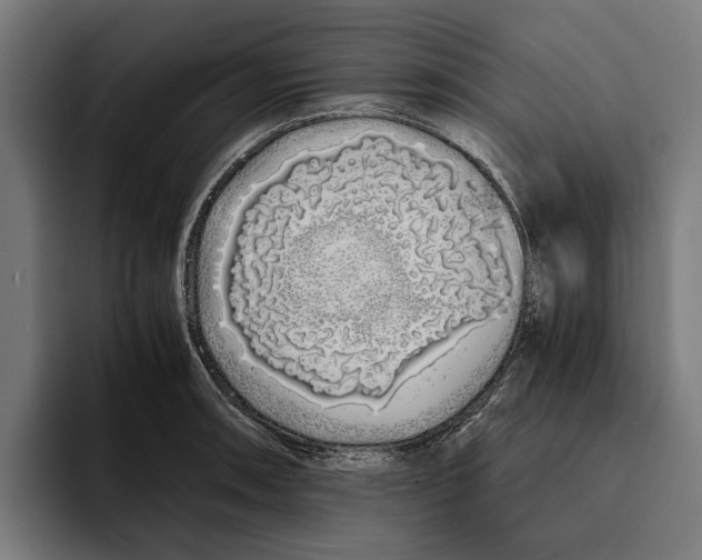 X0000094081090200711161602