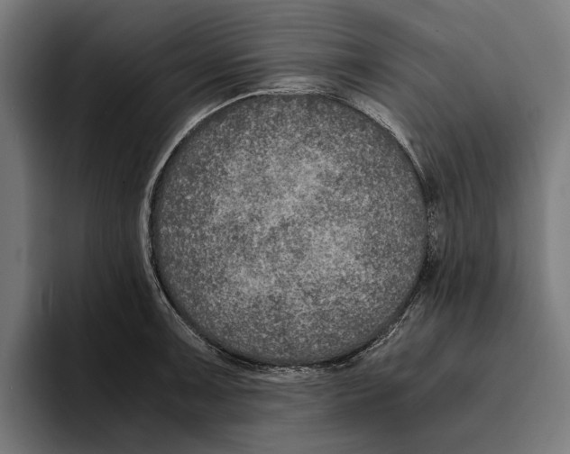 X0000094081091200711161602