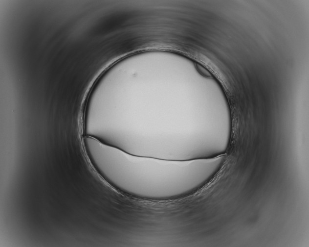 X0000094081092200711161602