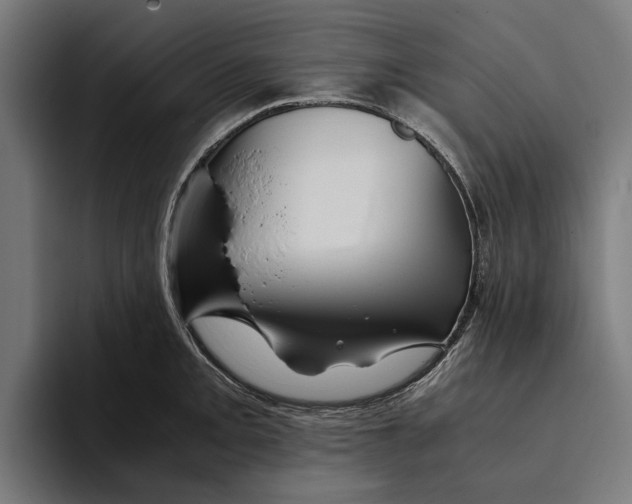 X0000094081093200711161602