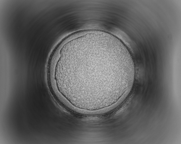 X0000094081094200711161602