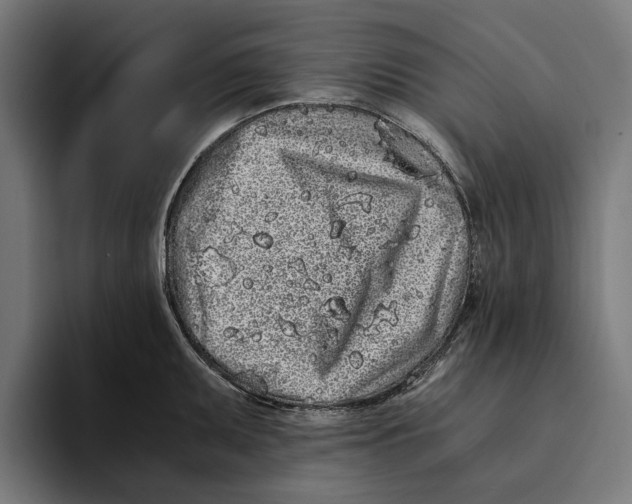 X0000094081095200711161602