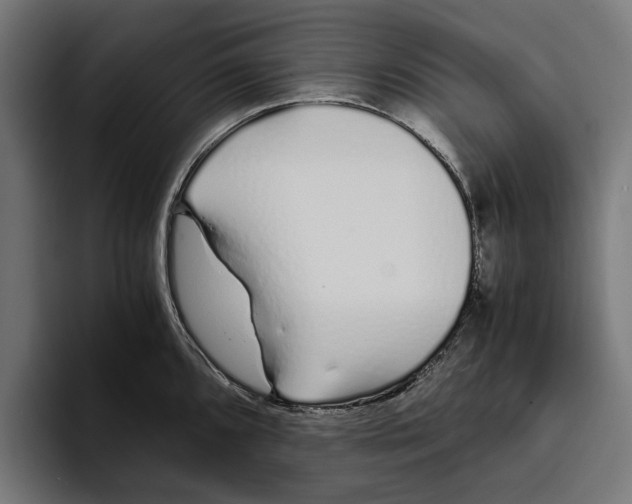 X0000094081096200711161602