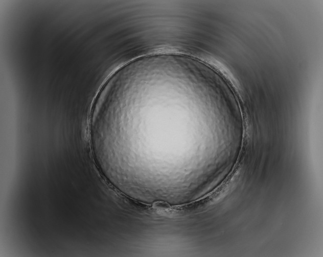 X0000094081097200711161602