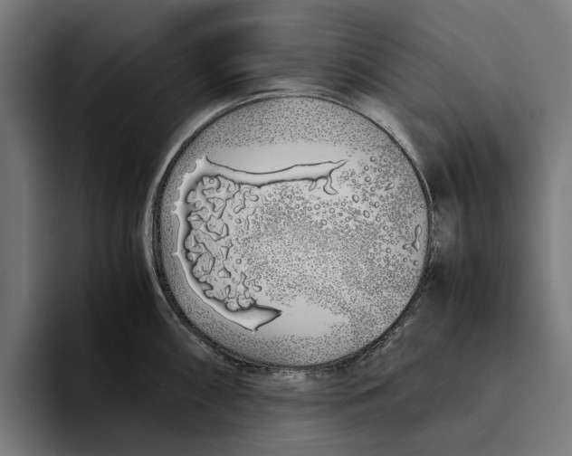 X0000094081098200711161602