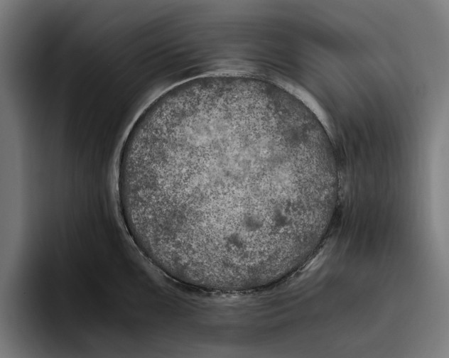 X0000094081099200711161602