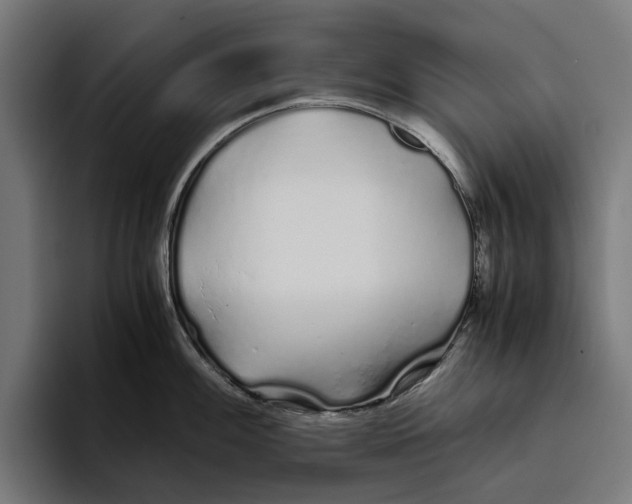 X0000094081100200711161602