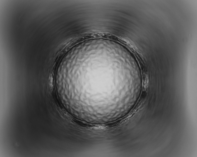 X0000094081110200711161602