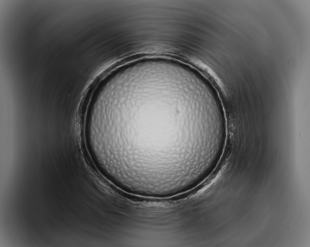 X0000094081114200711161602