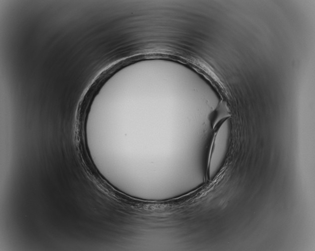 X0000094081116200711161602