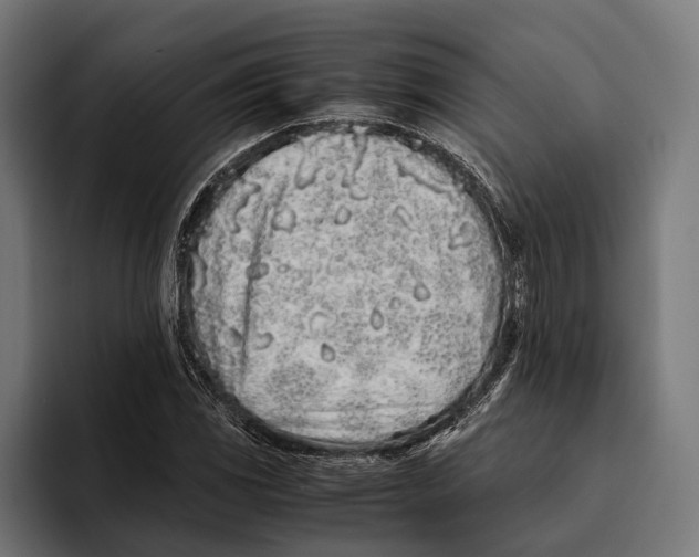 X0000094081117200711161602