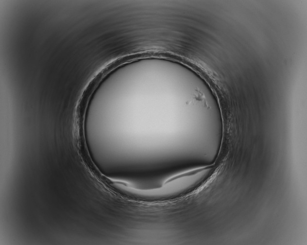 X0000094081118200711161602