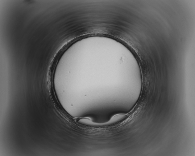 X0000094081119200711161602