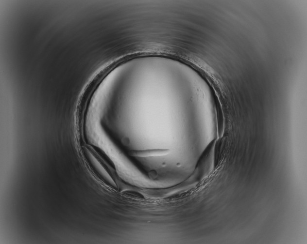 X0000094081120200711161602