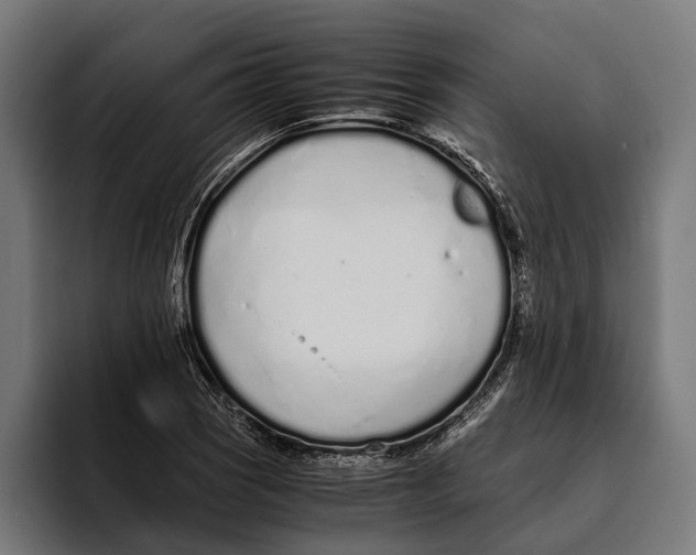 X0000094081121200711161602