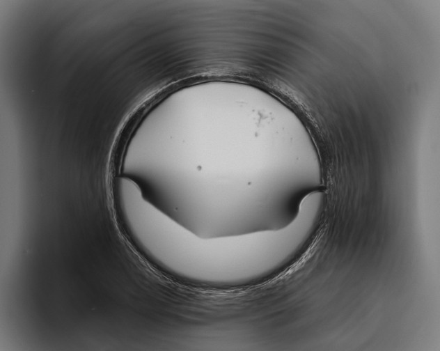 X0000094081122200711161602