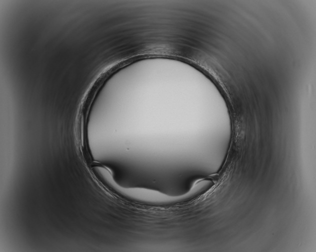 X0000094081123200711161602
