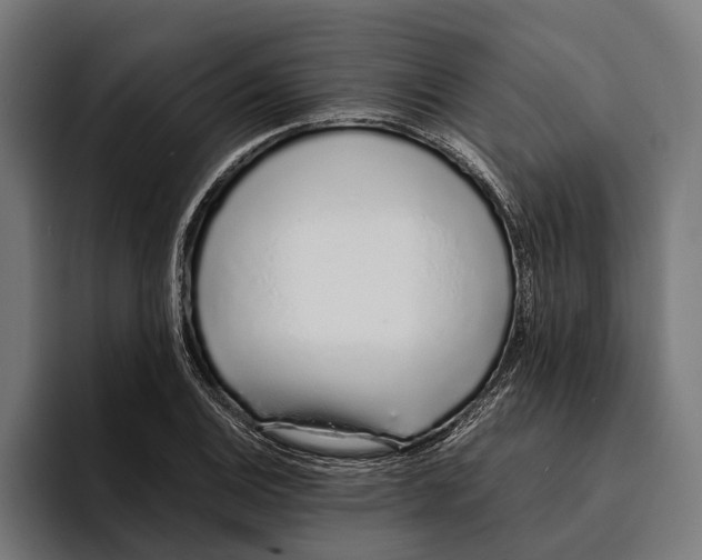 X0000094081124200711161602