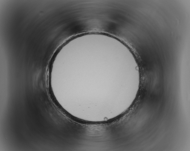 X0000094081126200711161602