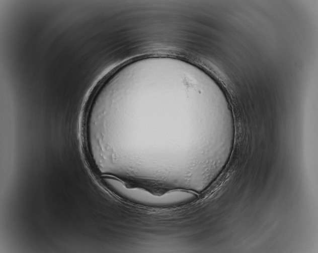 X0000094081128200711161602