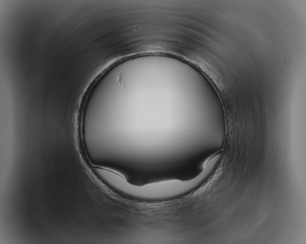 X0000094081134200711161602