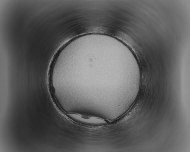 X0000094081135200711161602