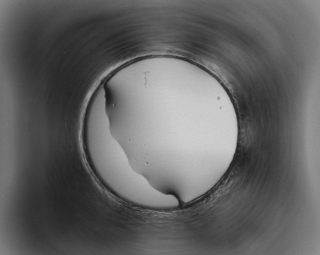 X0000094081136200711161602