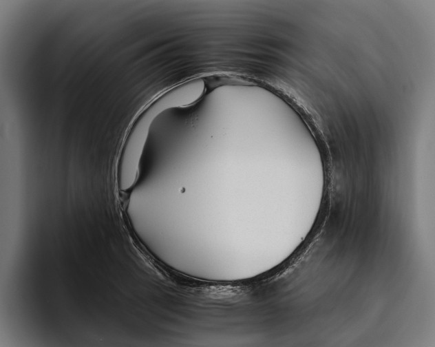 X0000094081137200711161602