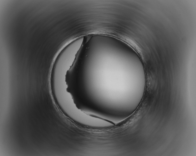 X0000094081138200711161602