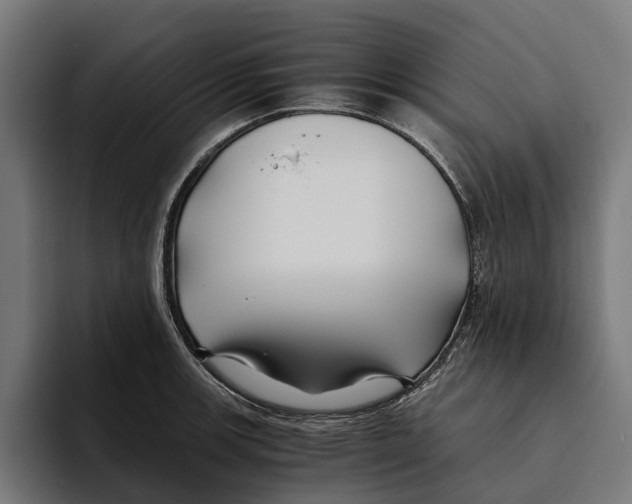 X0000094081139200711161602