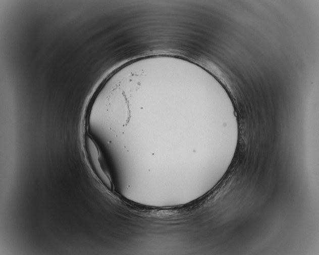 X0000094081140200711161602