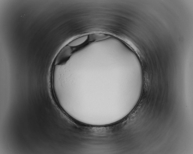 X0000094081142200711161602
