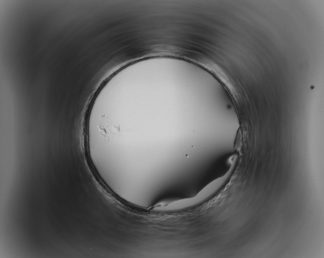 X0000094081143200711161602
