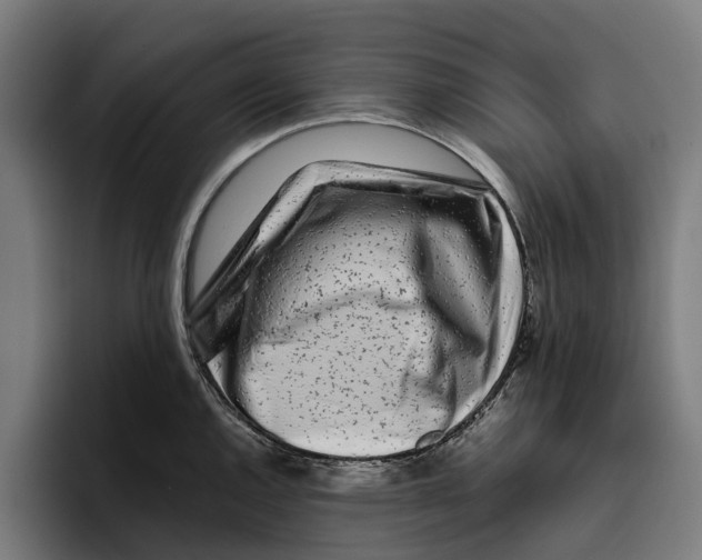 X0000094081144200711161602