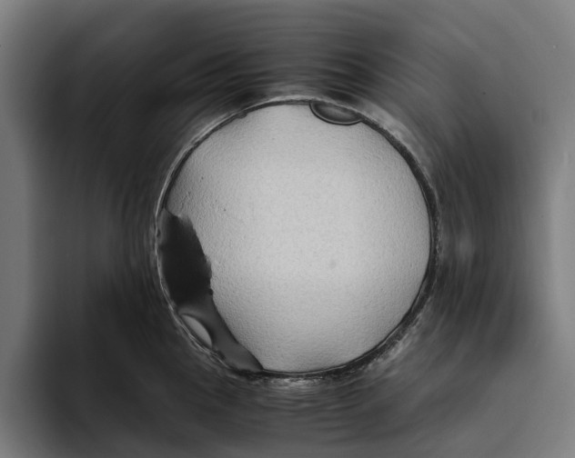 X0000094081145200711161602