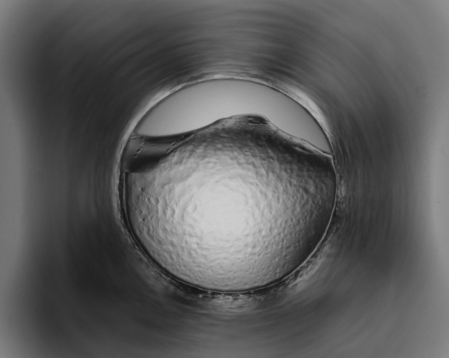 X0000094081146200711161602